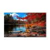 Electronic Signage