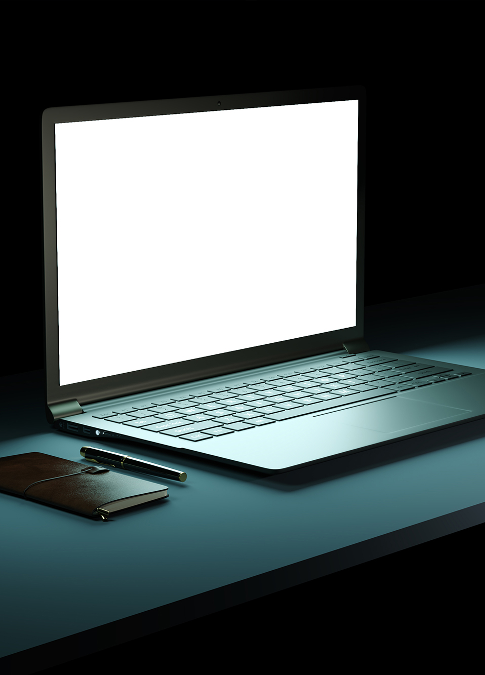 Laptop Display